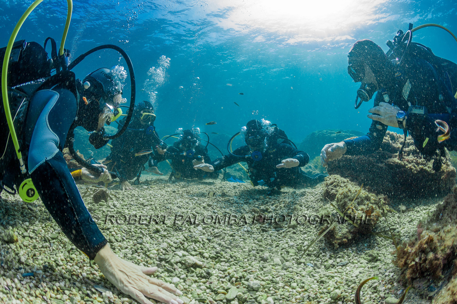 Plongée sous-marine