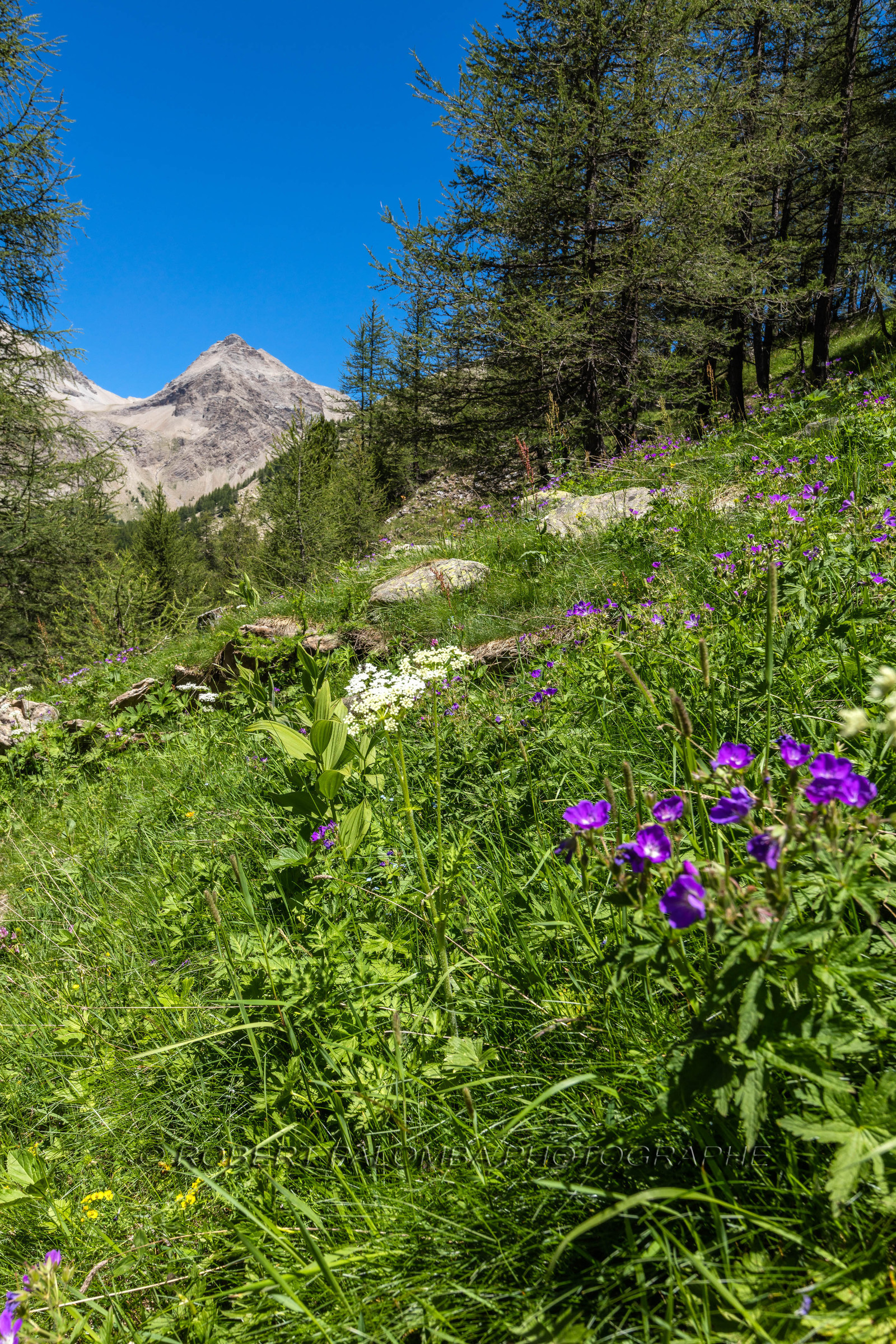 Lac d'Allos