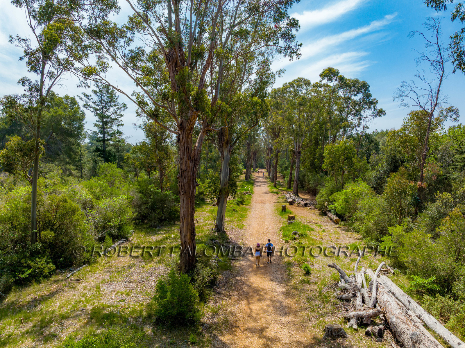 Lérins Sainte-Marguerite