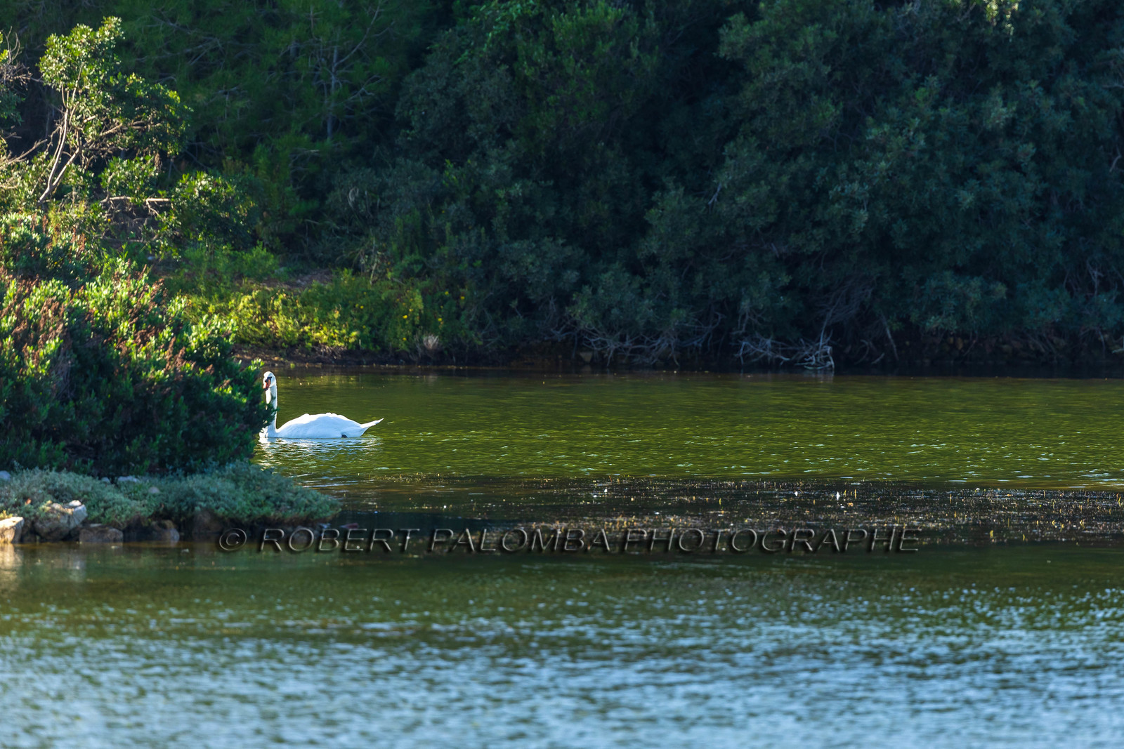 Lérins Sainte-Marguerite