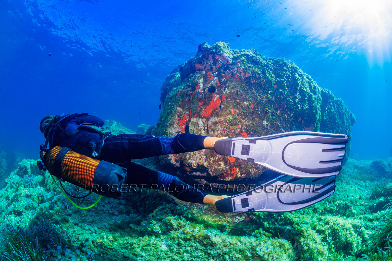 Plongée-sous-marine