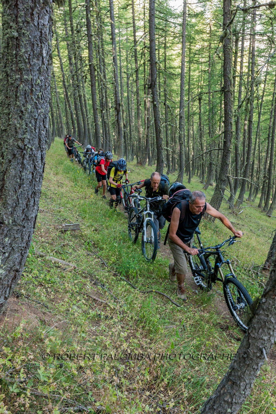 Rando Vtt Lacs de Lignin