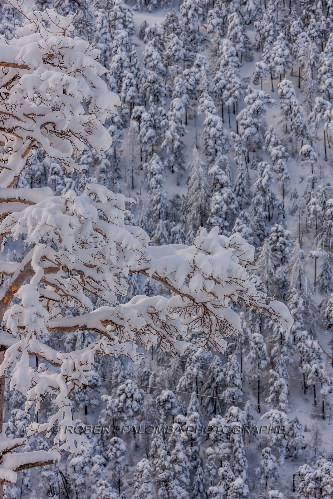 La Colle-Saint-Michel