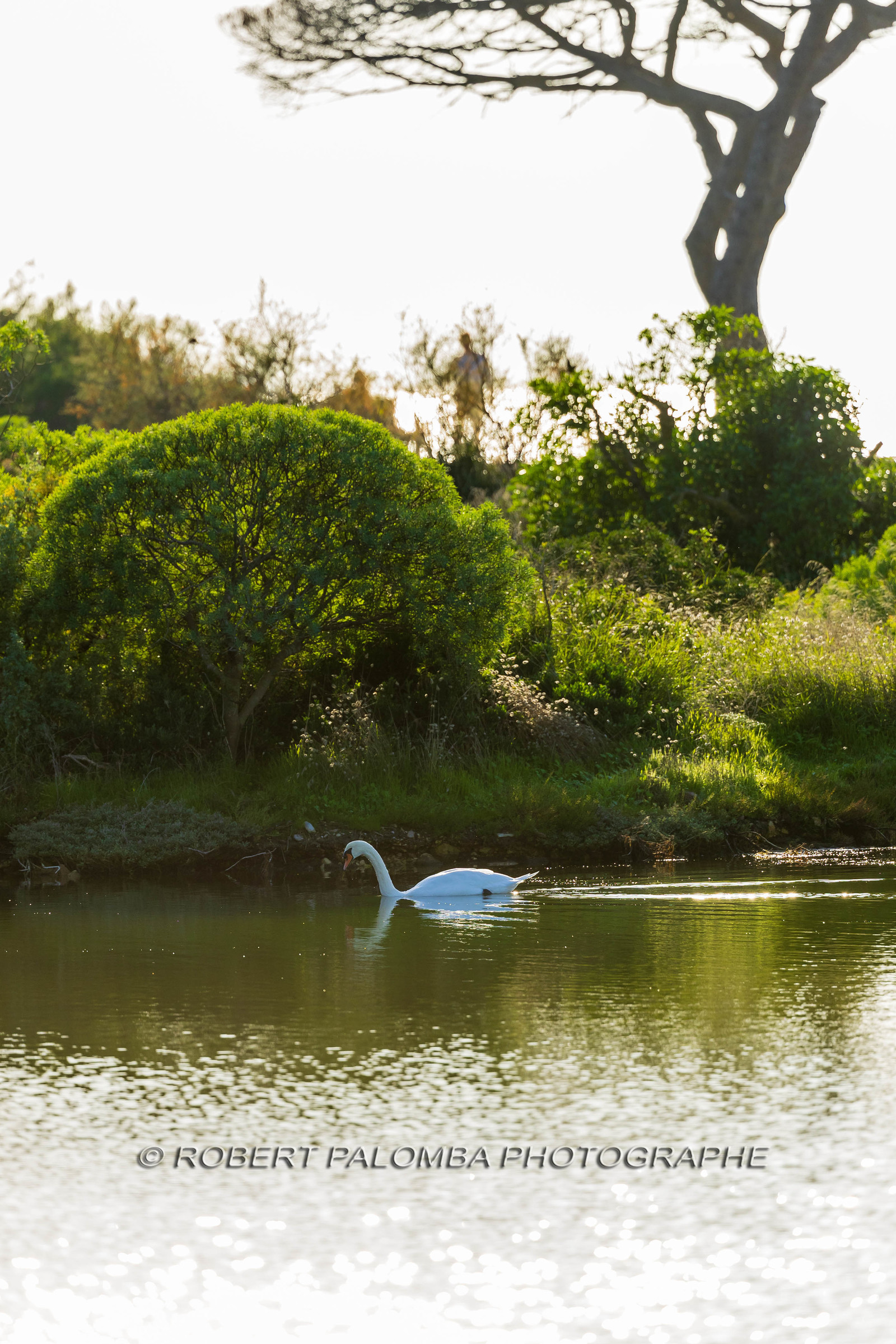 Lérins Sainte-Marguerite