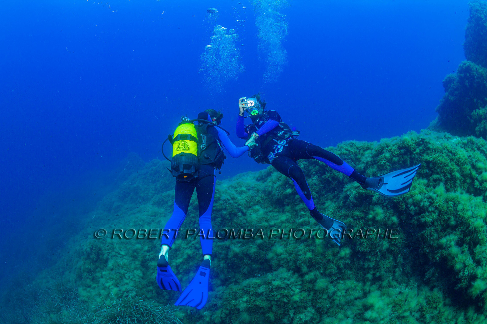Plongée-sous-marine