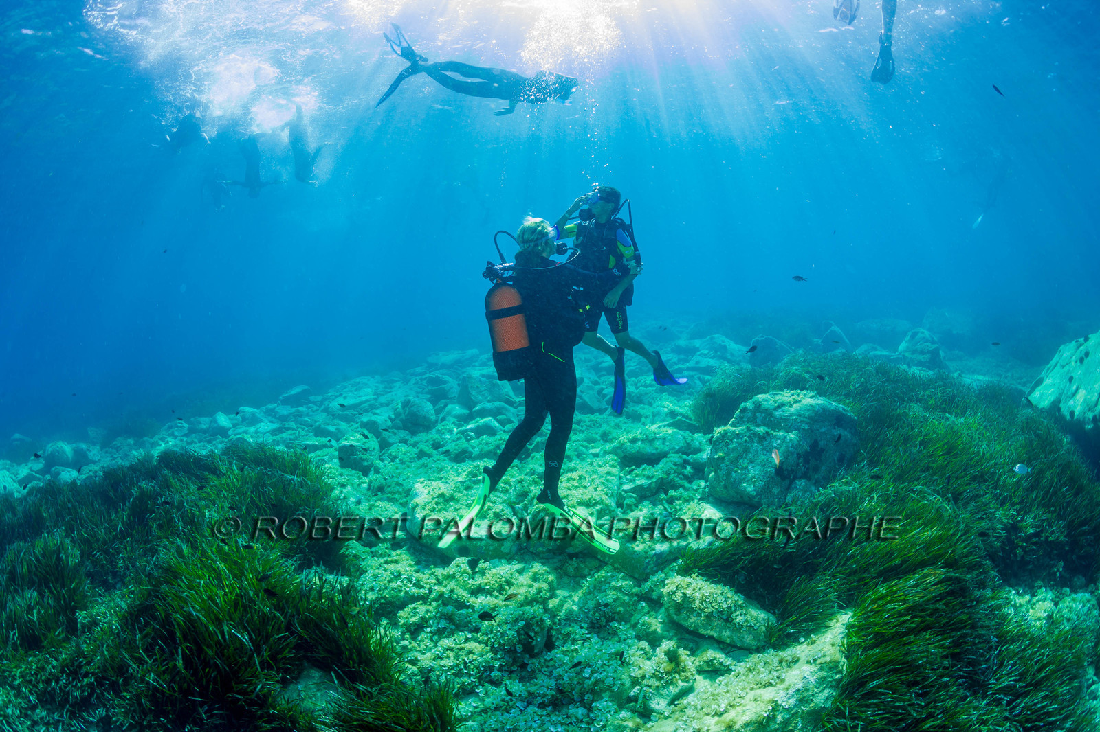 Plongée-sous-marine