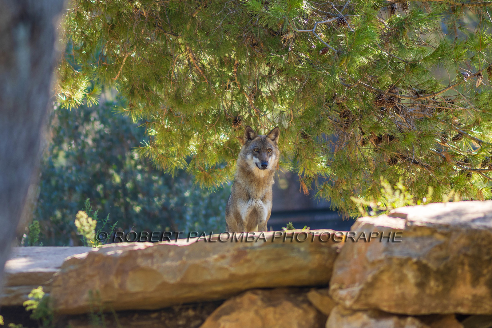 Parc animalier de la Barben