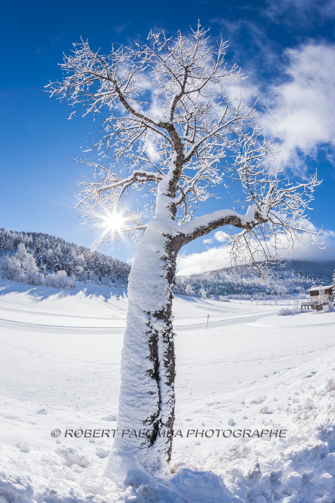 La Colle-Saint-Michel
