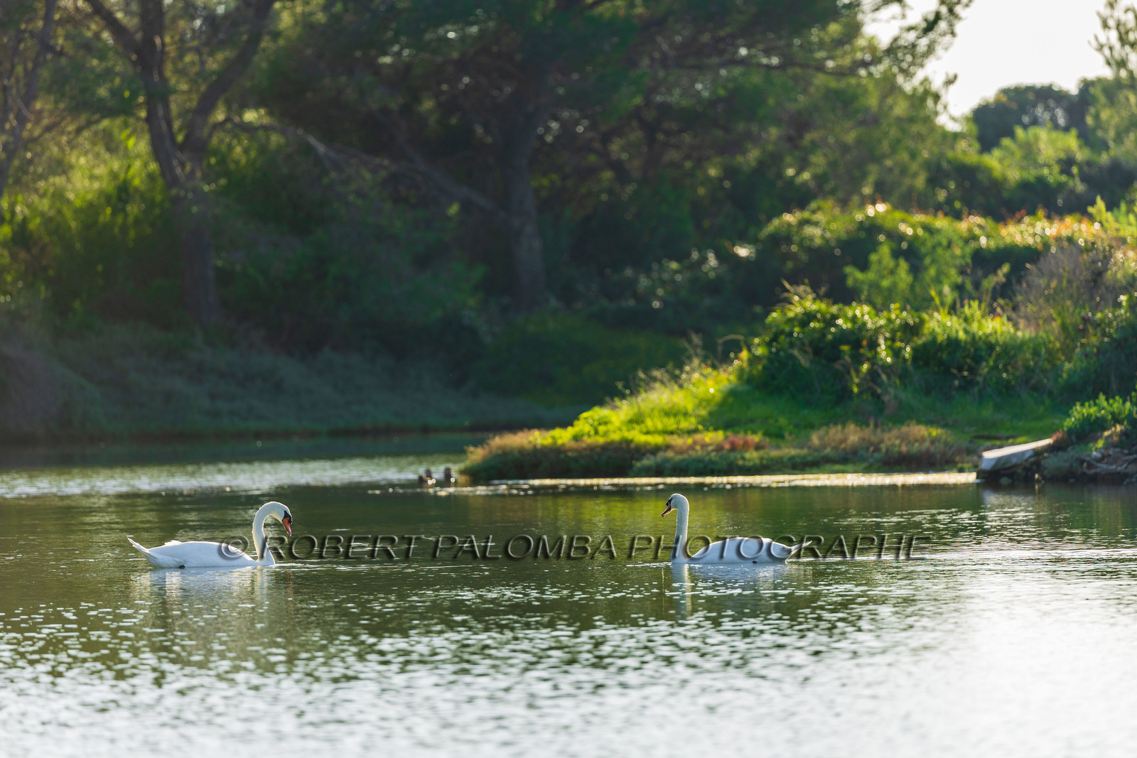 Lérins Sainte-Marguerite