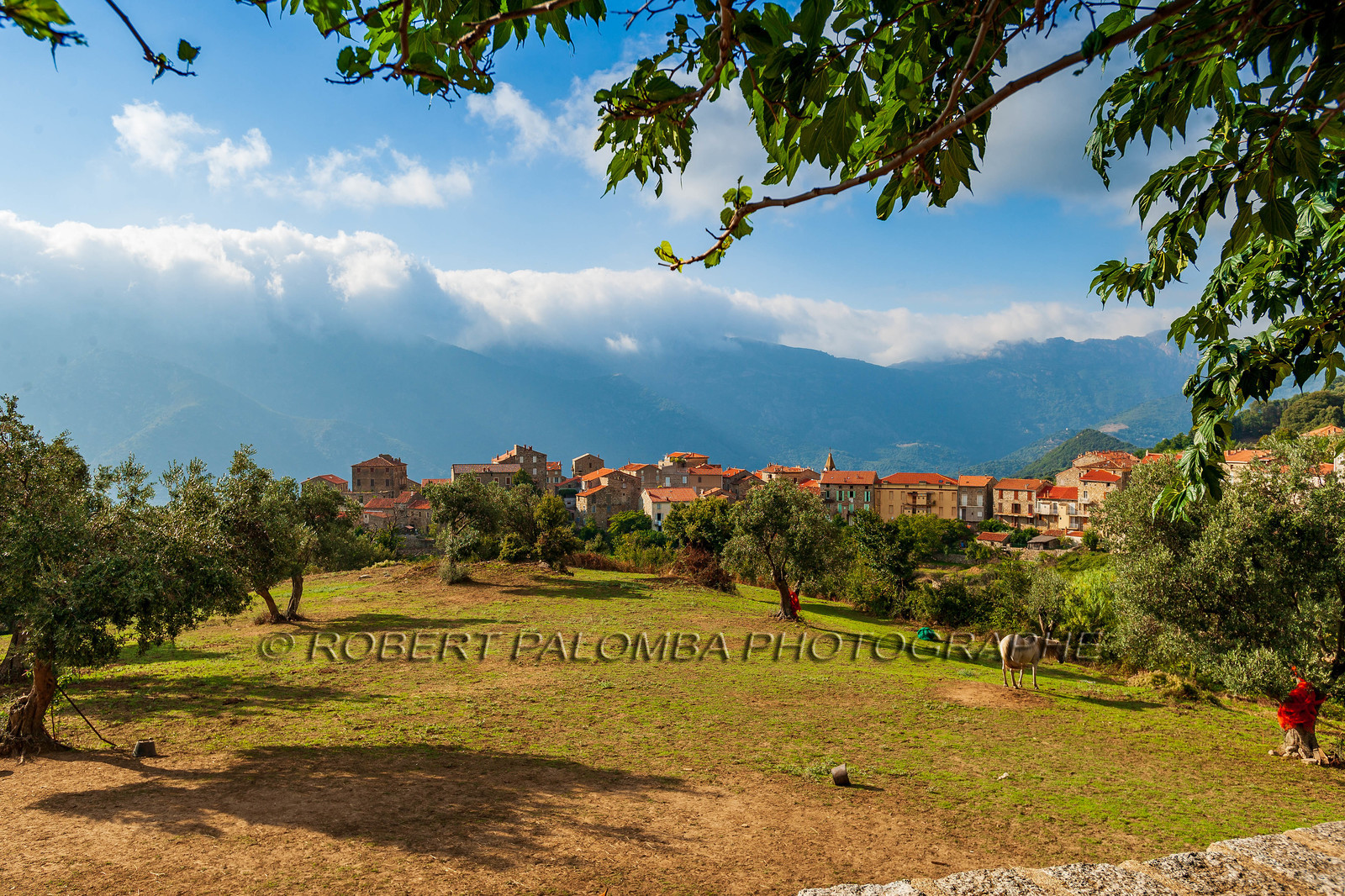 Sainte-Lucie-de-Tallano