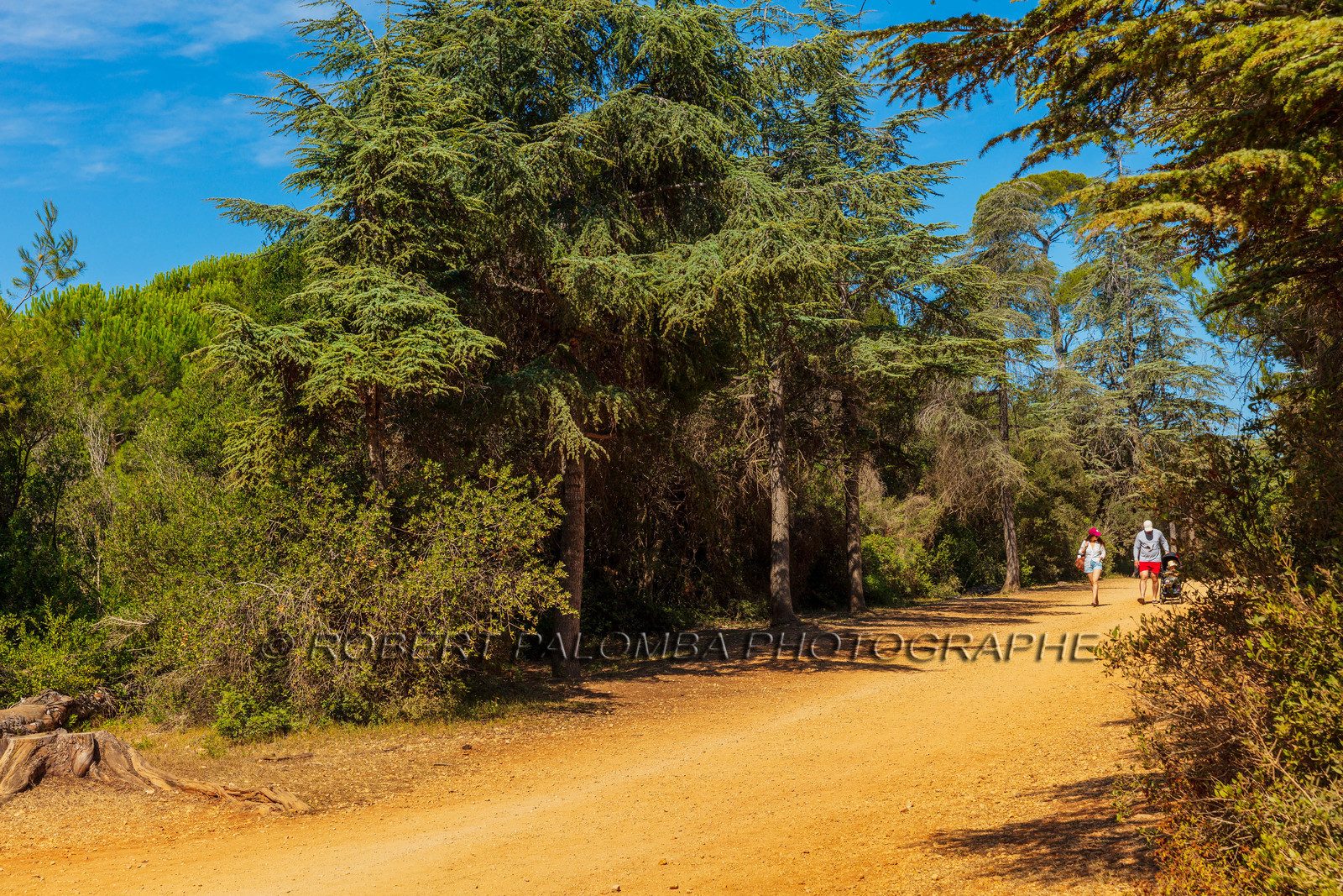 Lérins Sainte-Marguerite