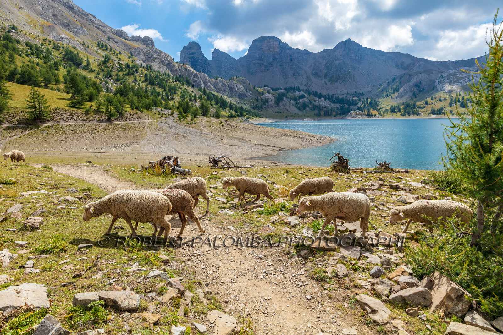Lac d'Allos