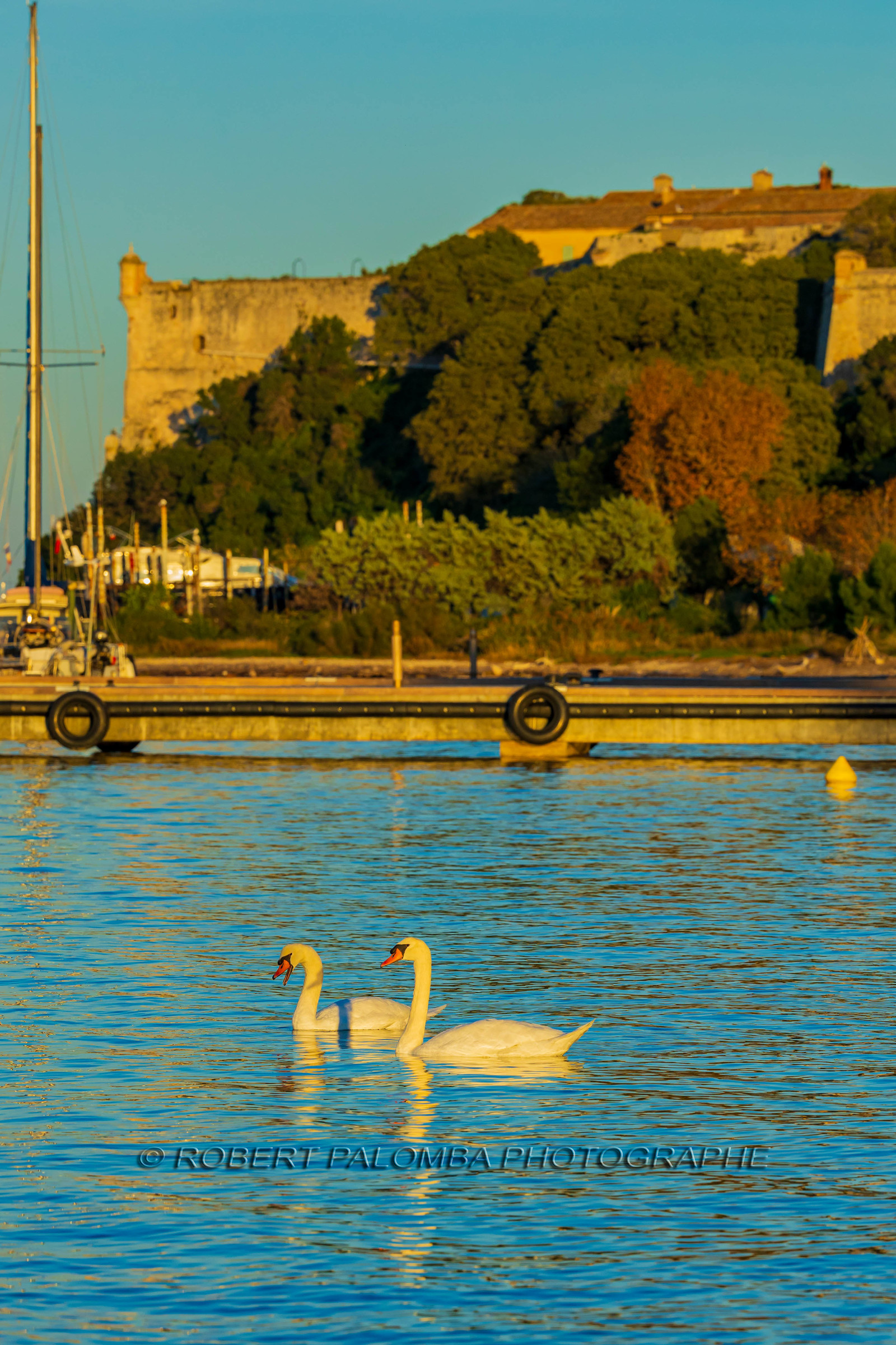 Lérins Sainte Marguerite 2024