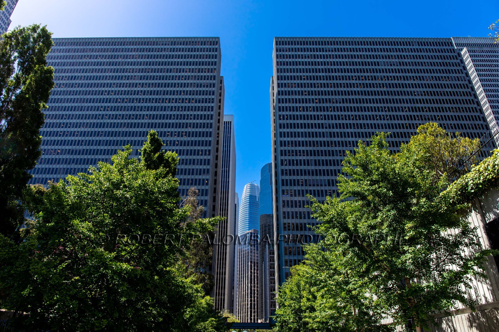 Angle de Washington avenue et David avenue à San Francisco