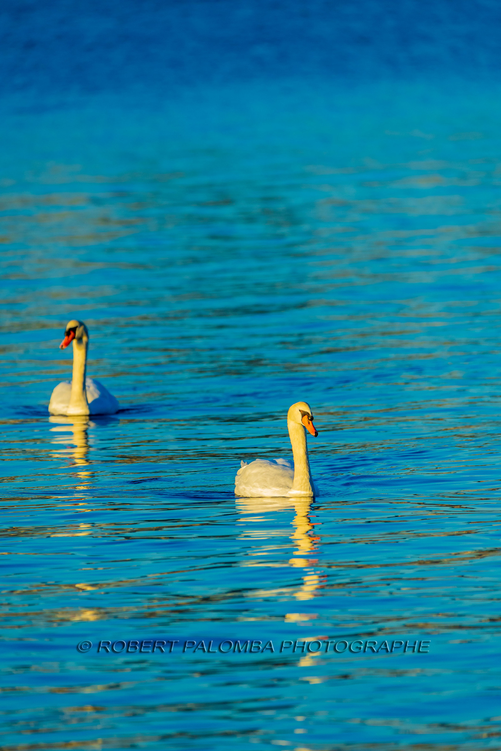 Lérins Sainte Marguerite 2024