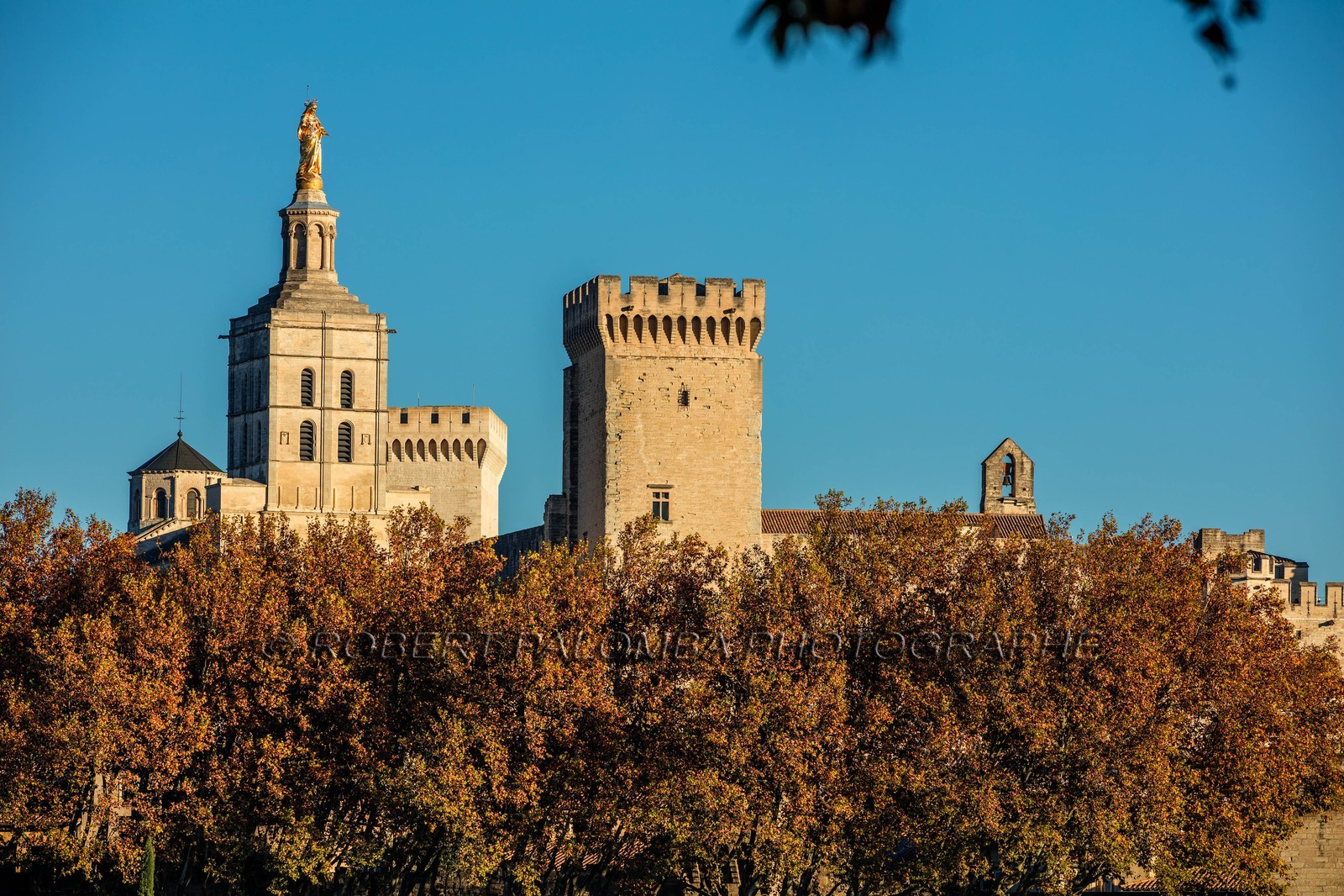 Avignon