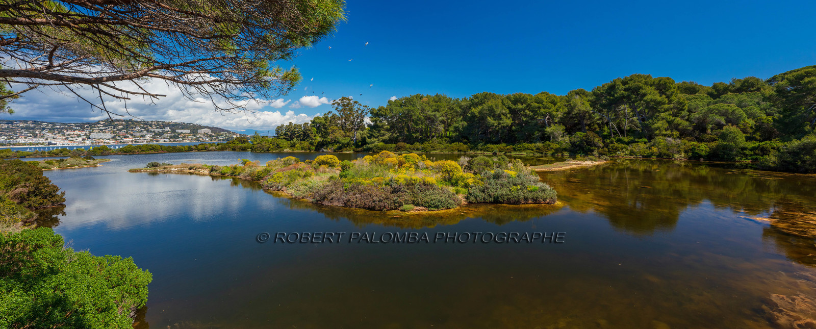 Lérins, Sainte-Marguerite