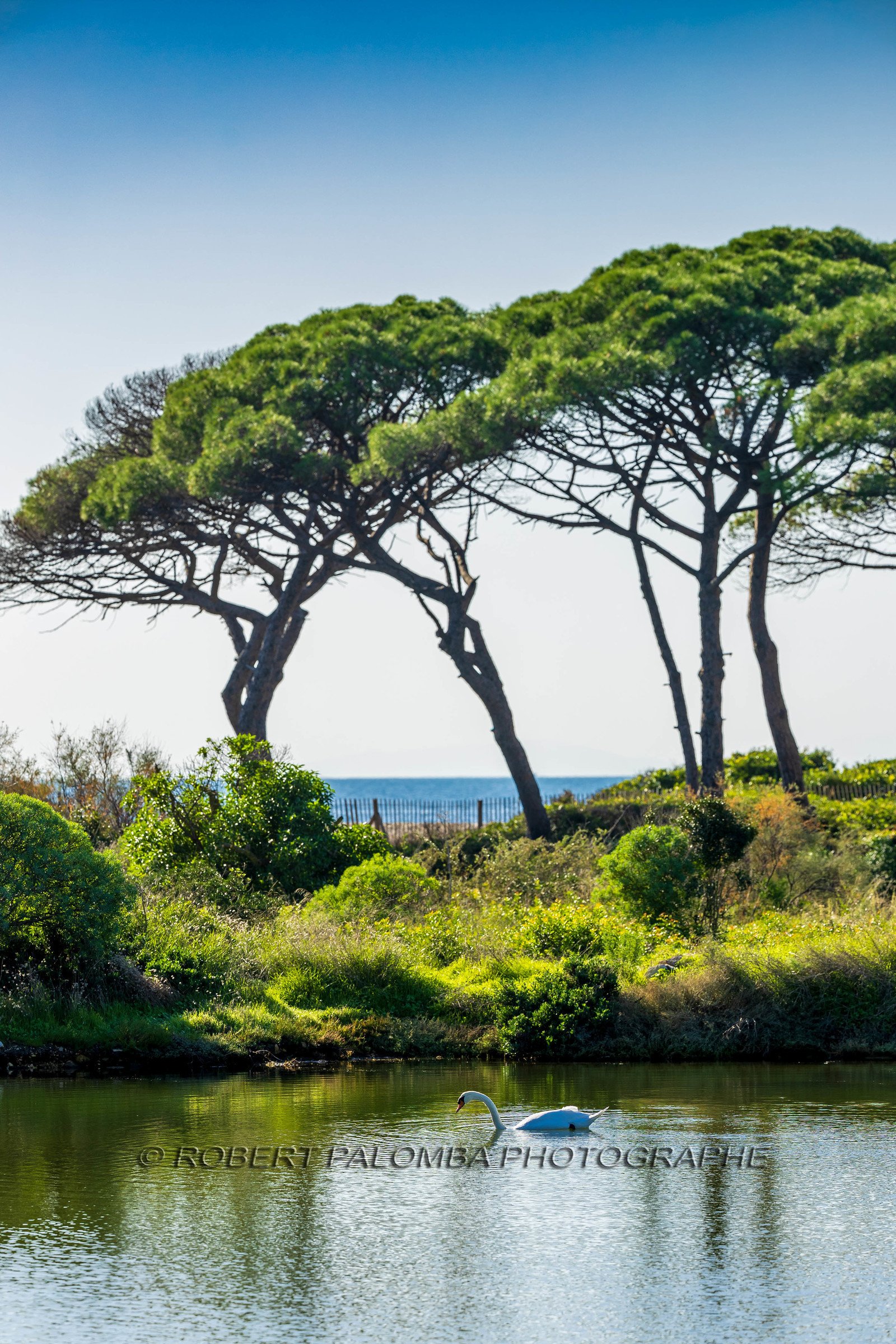 Lérins Sainte-Marguerite