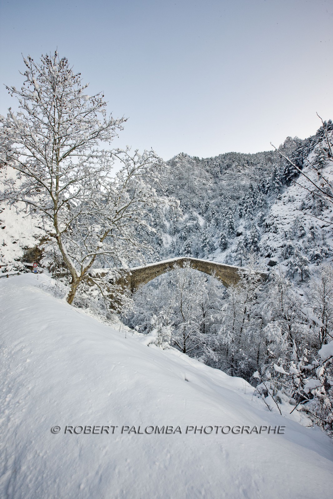 Pont de la Reine Jeanne