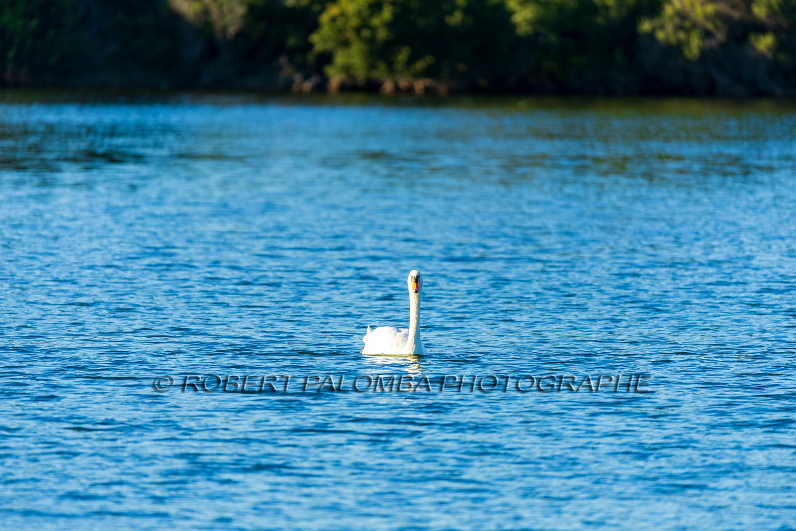 Lérins Sainte Marguerite 2024