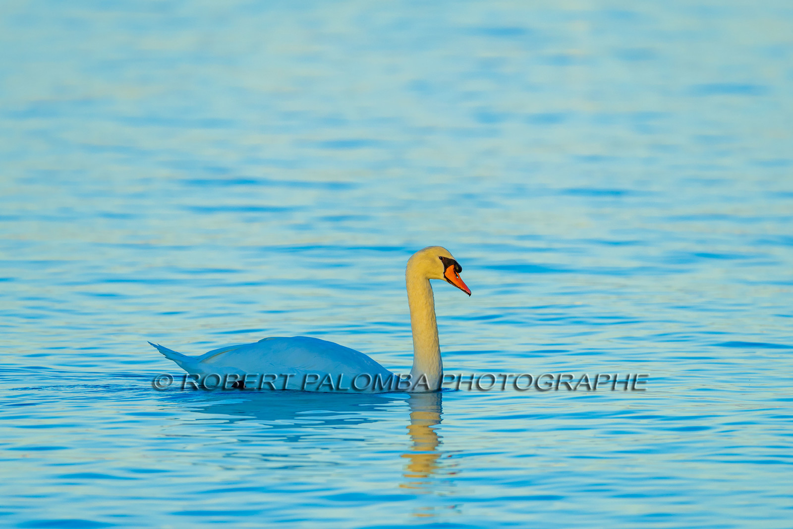 Lérins Sainte Marguerite 2024