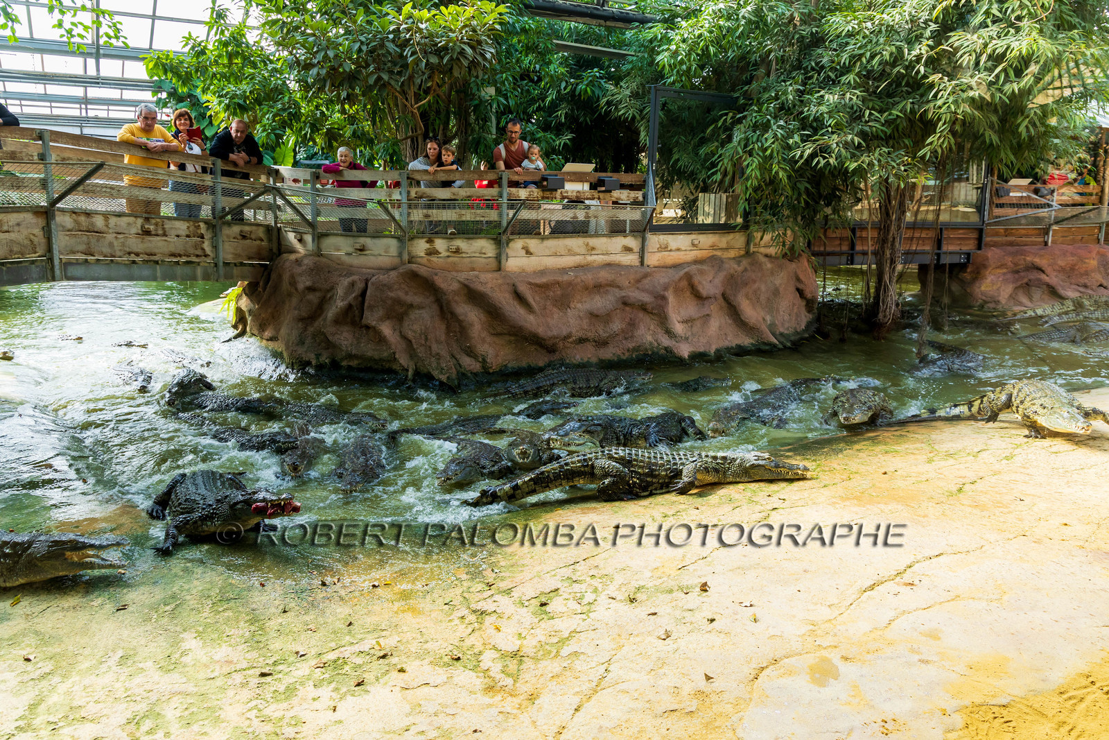 La Ferme aux crocodiles