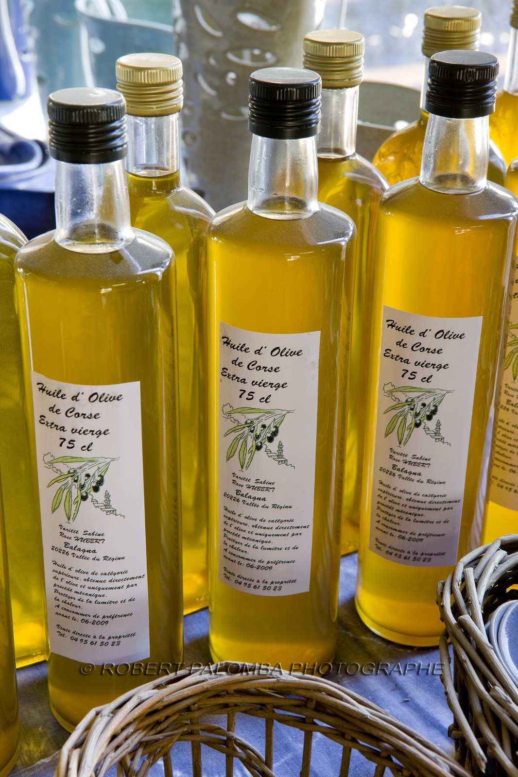 Huile d'olive, oléiculture