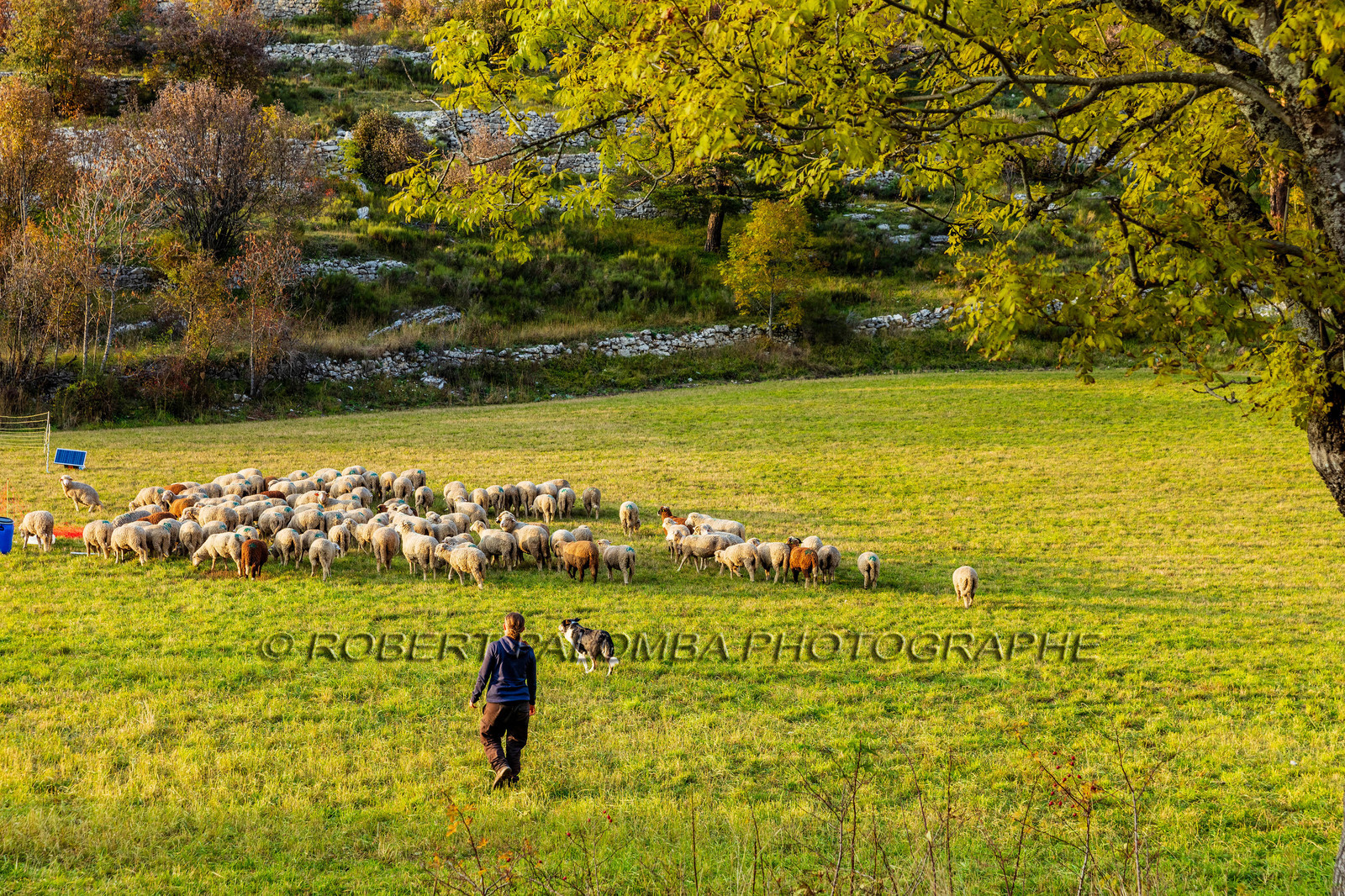 La Colle Saint-Michel