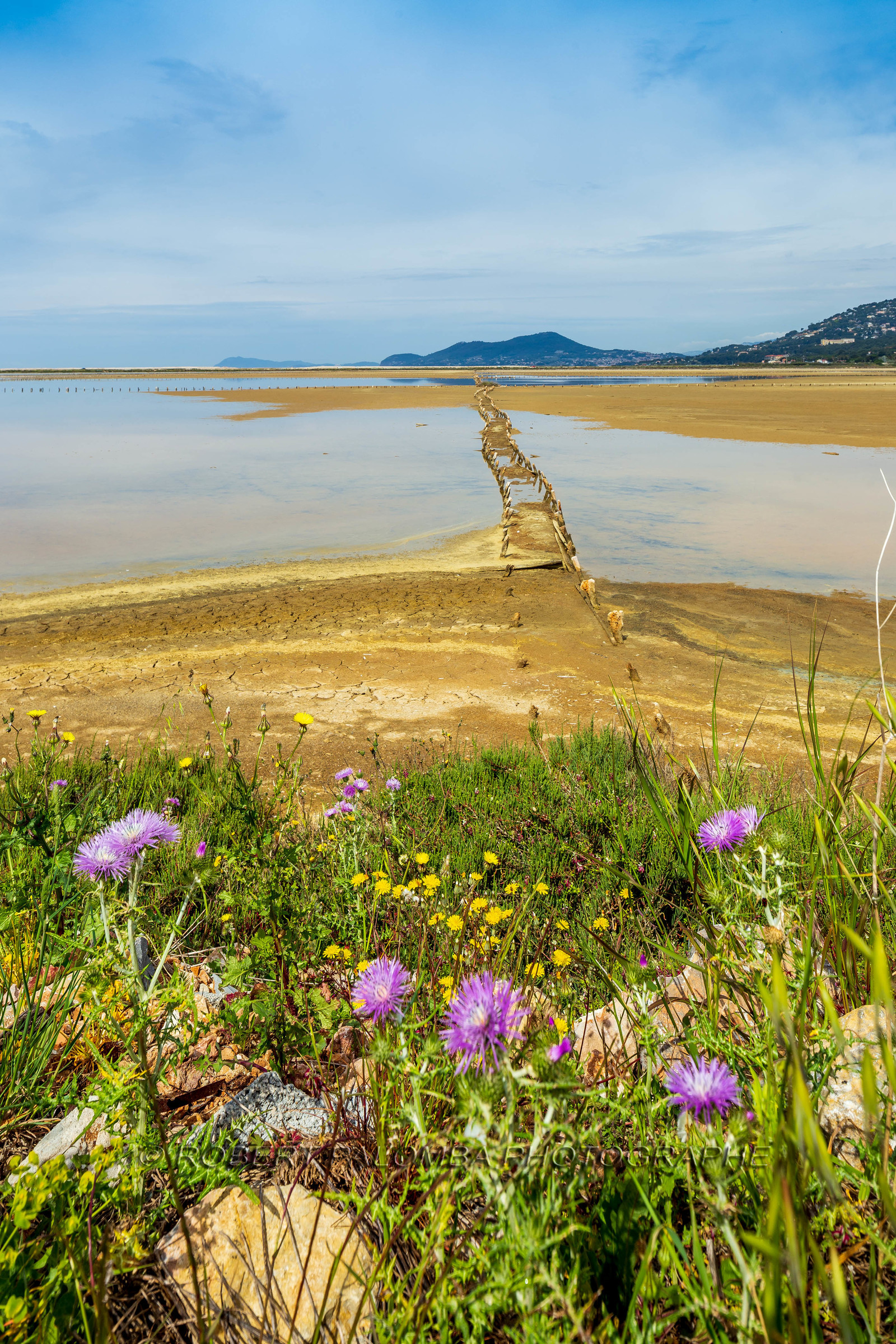 Salins d'Hyères