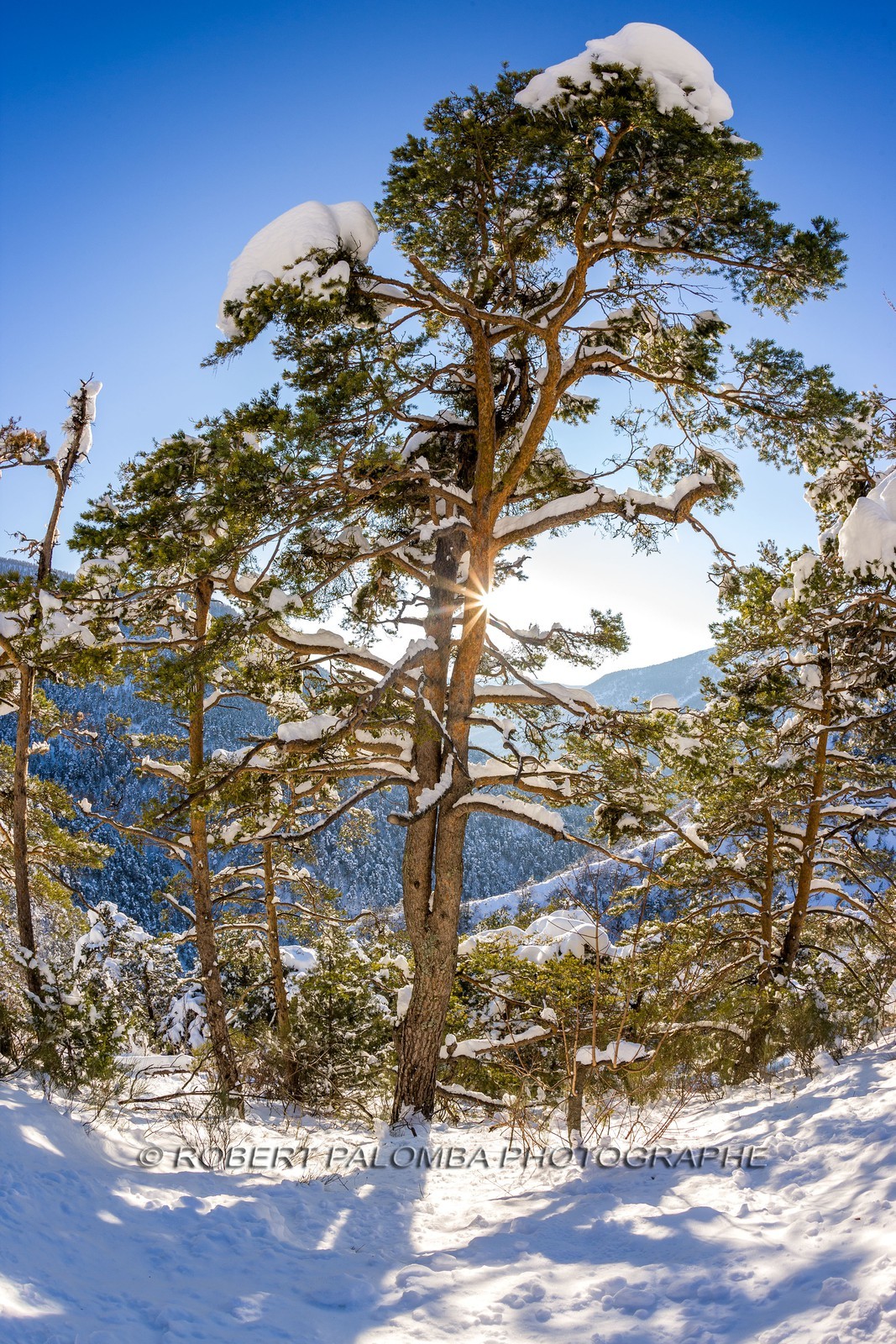 La Colle-Saint-Michel
