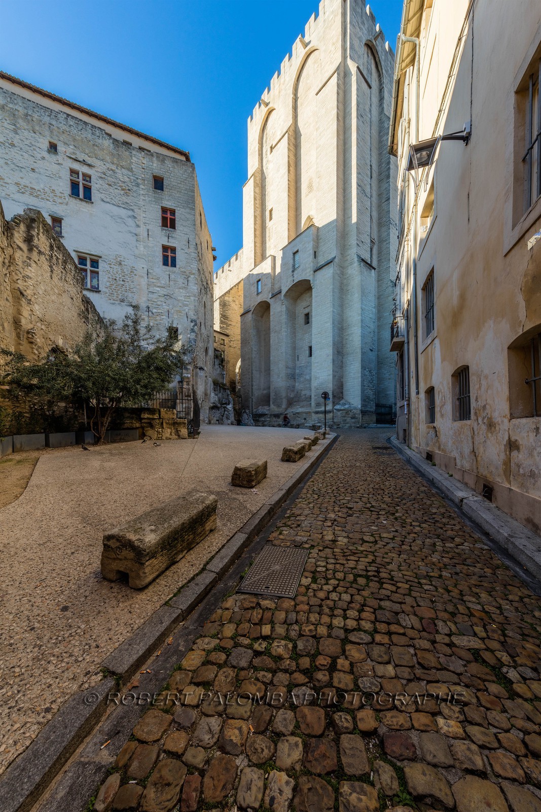 Avignon