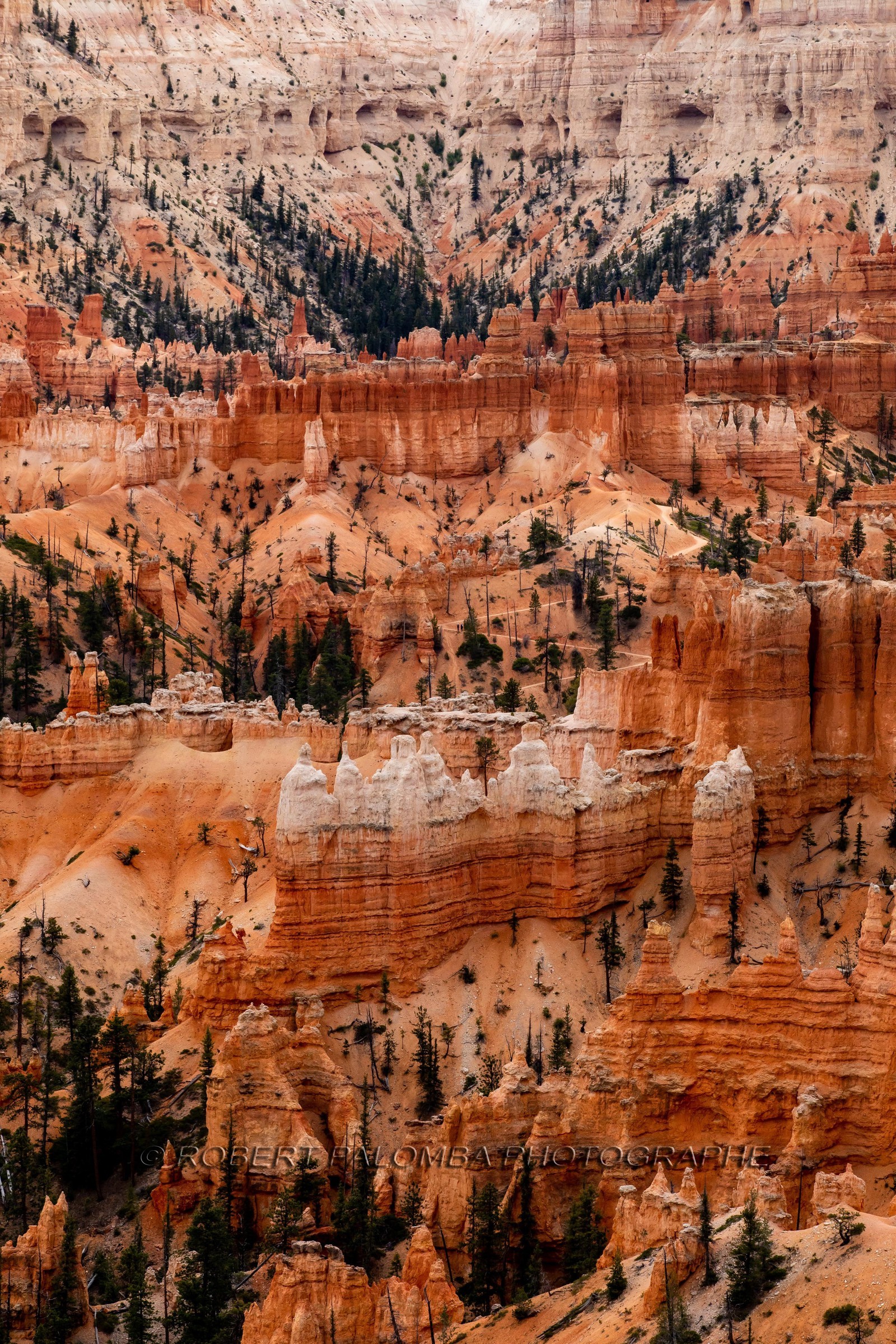 Bryce Canyon