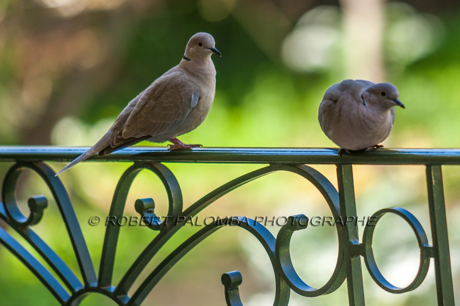 Saint-Laurent-du-Var