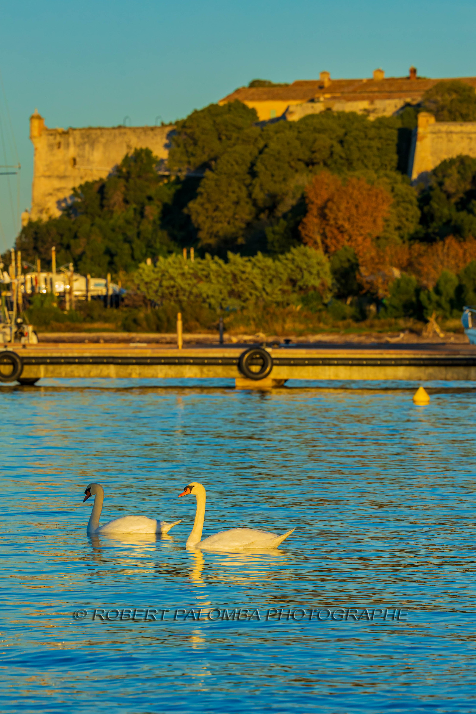 Lérins Sainte Marguerite 2024