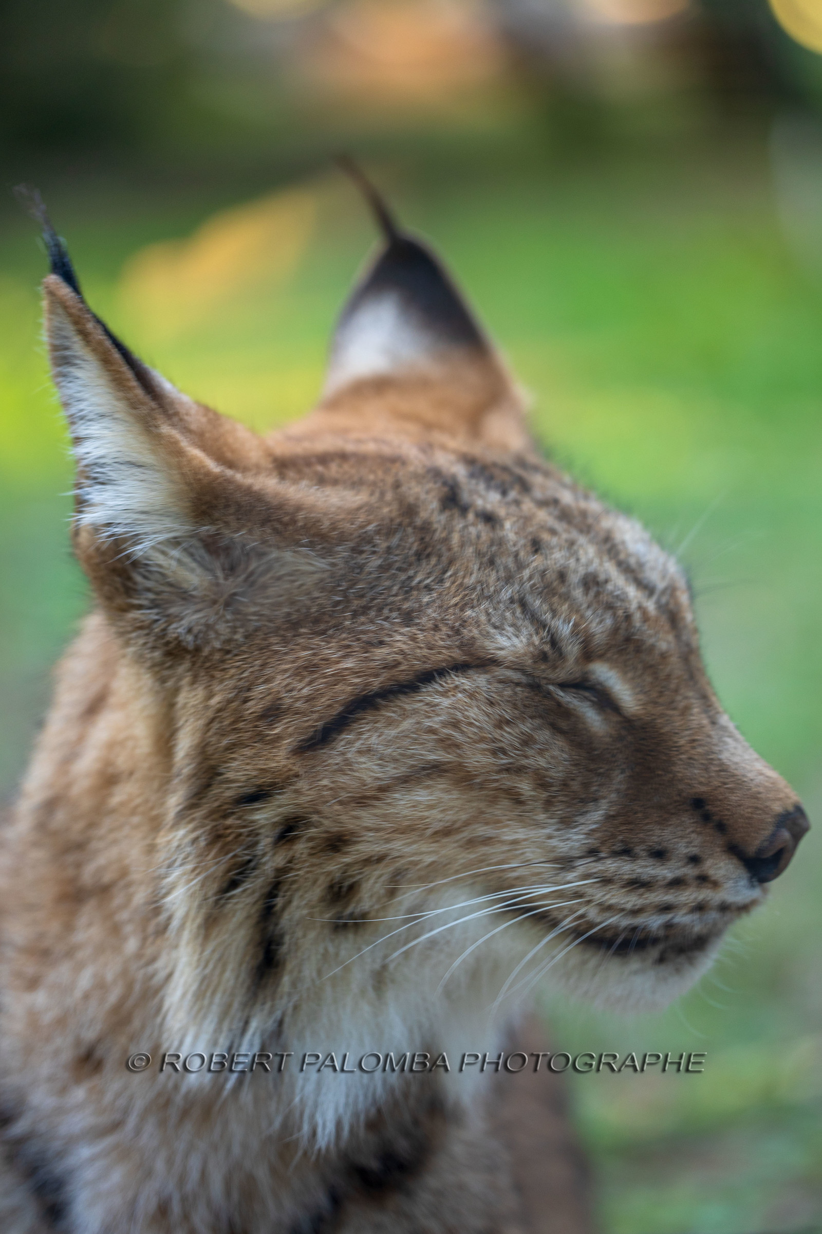Parc animalier de la Barben
