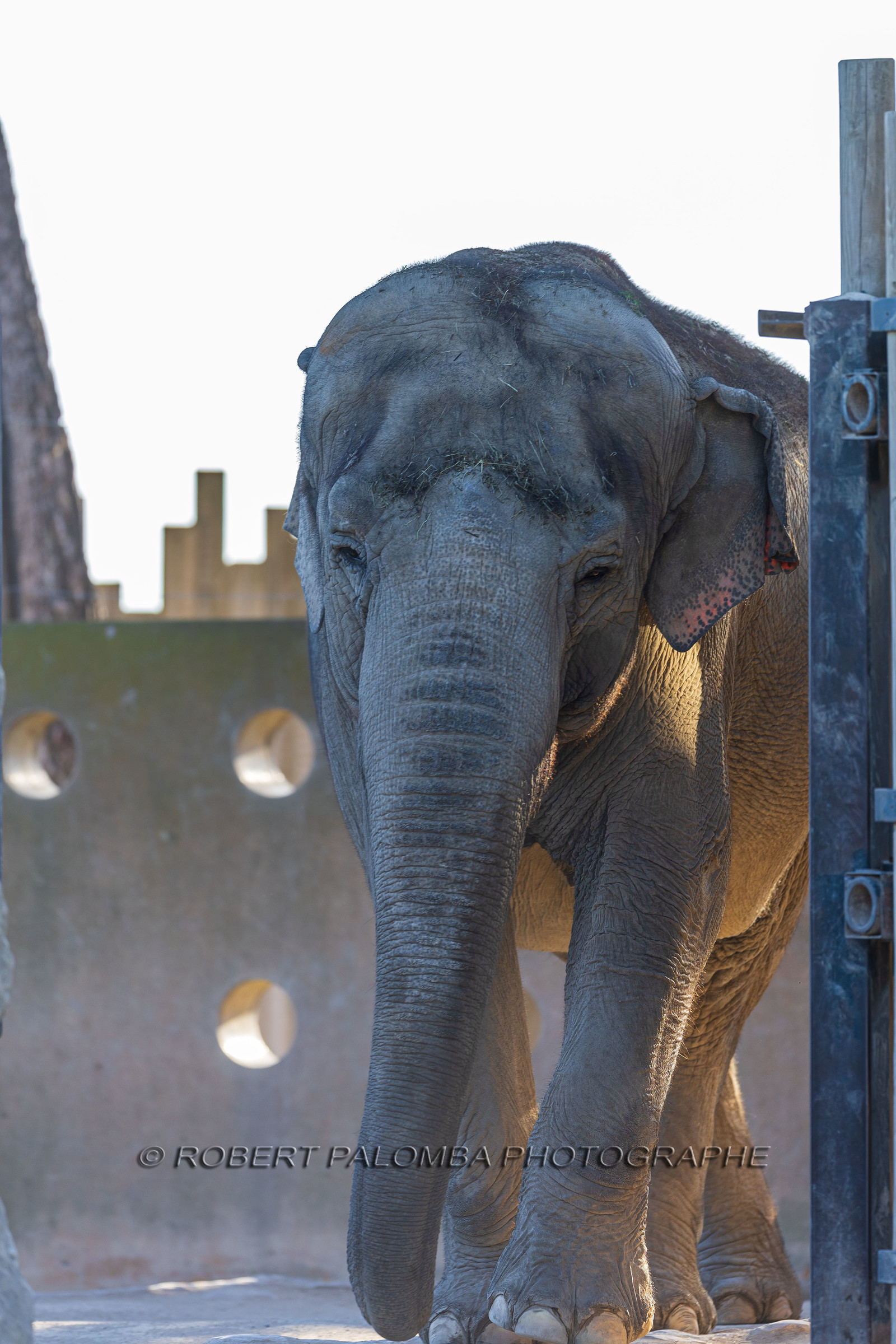 Parc animalier de la Barben