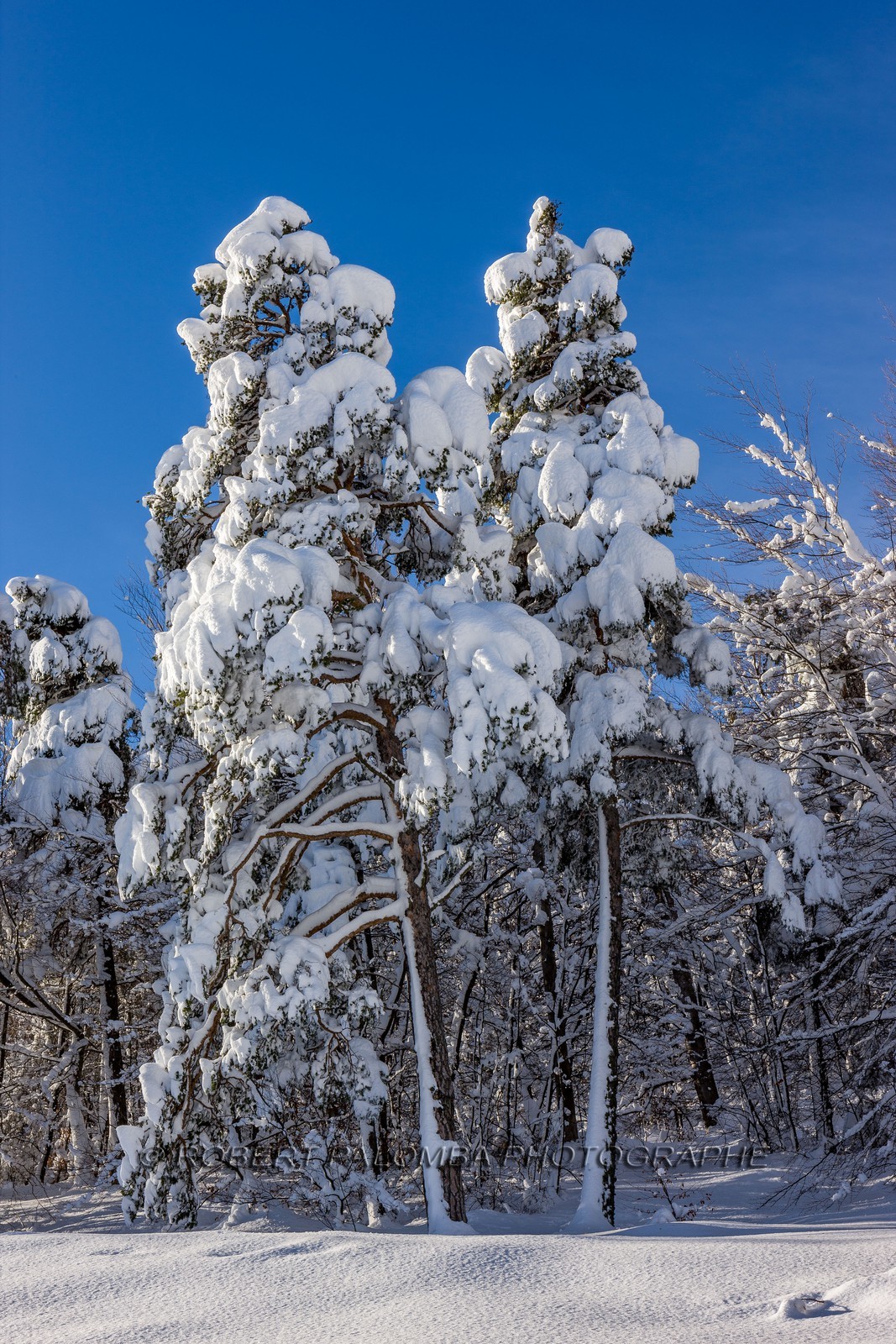 La Colle-Saint-Michel