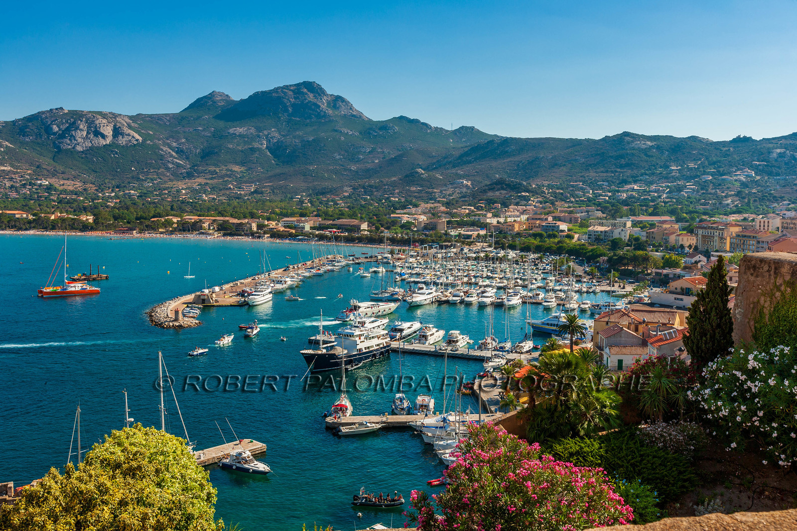Calvi