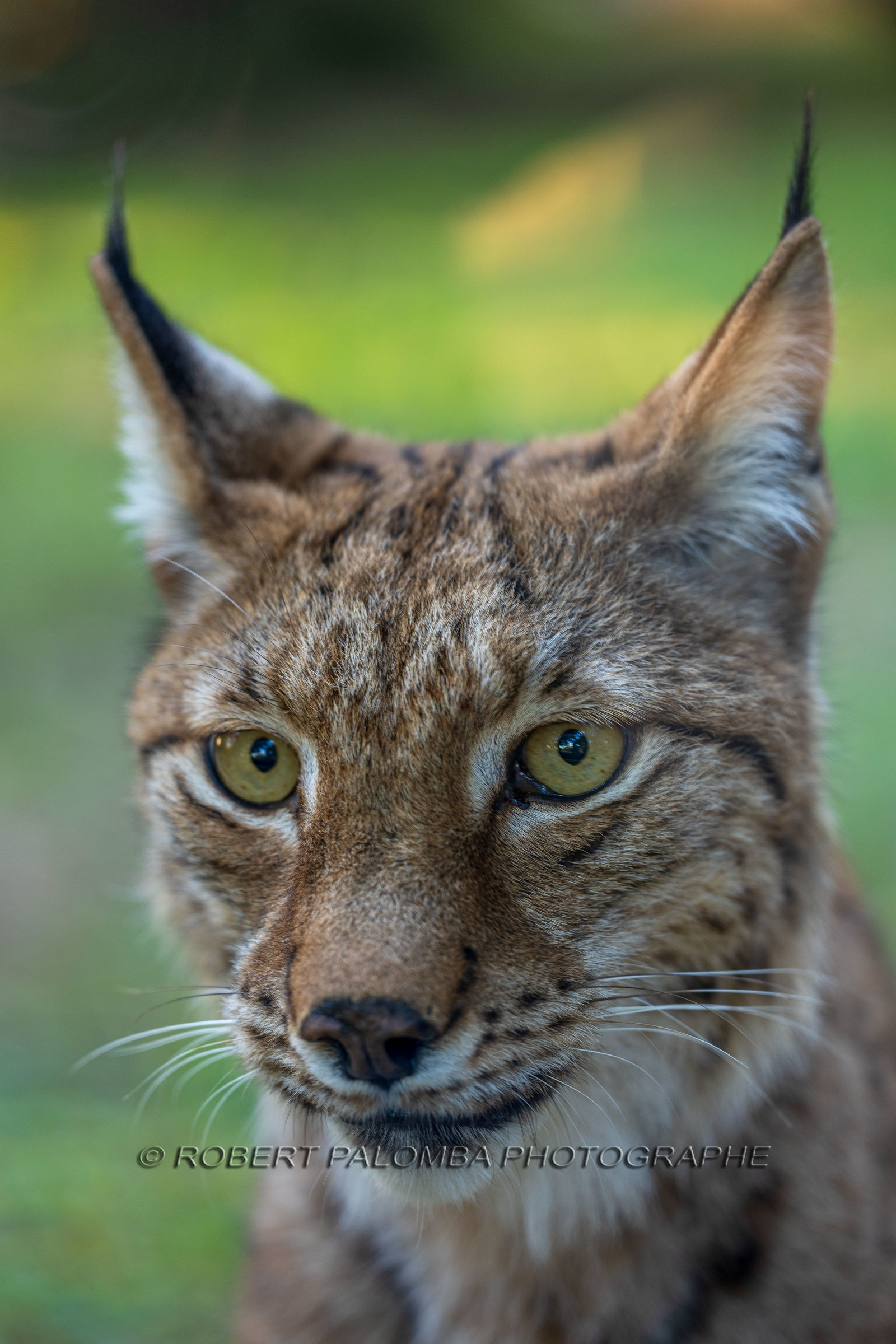 Parc animalier de la Barben