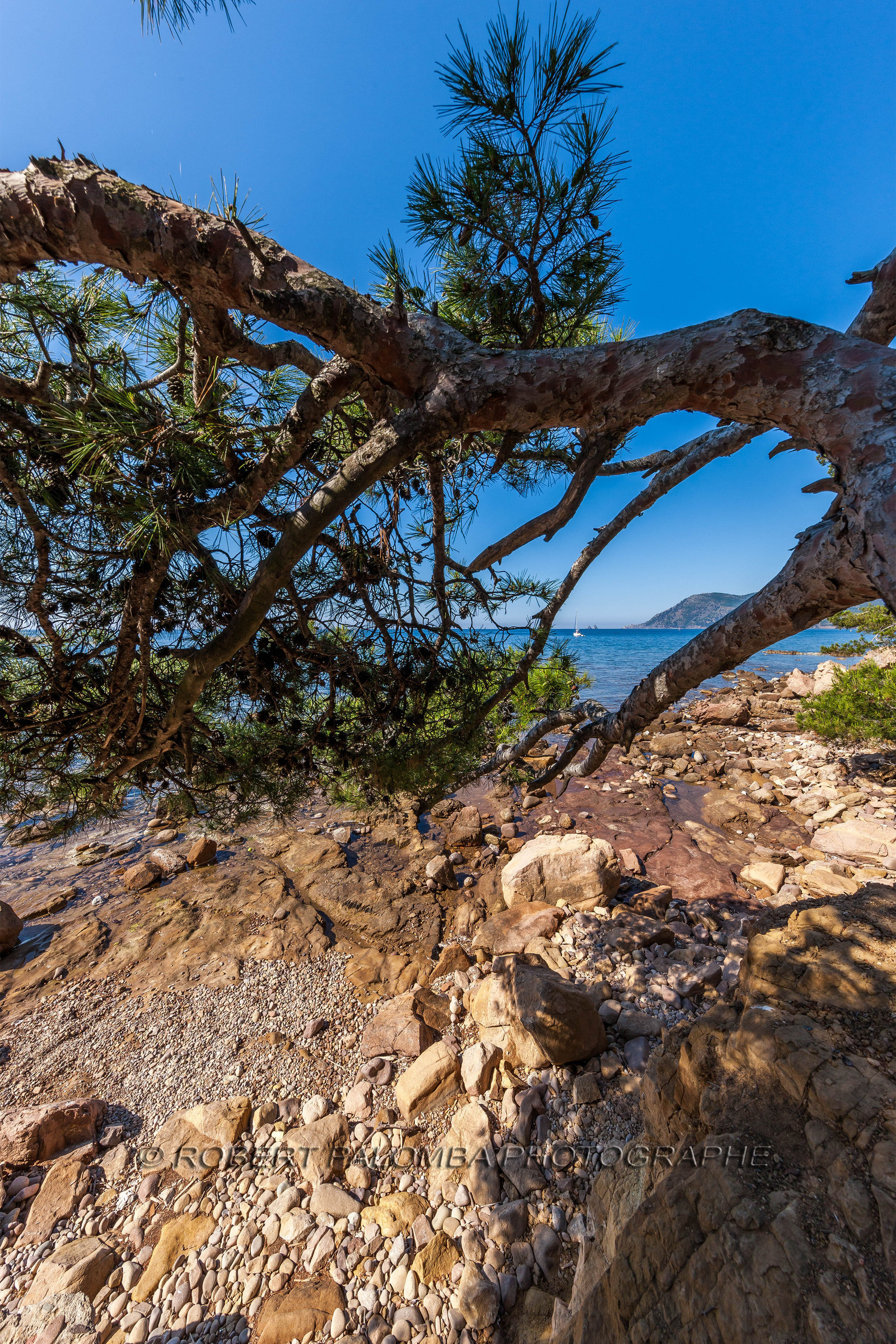 Saint-Mandrier-sur-Mer