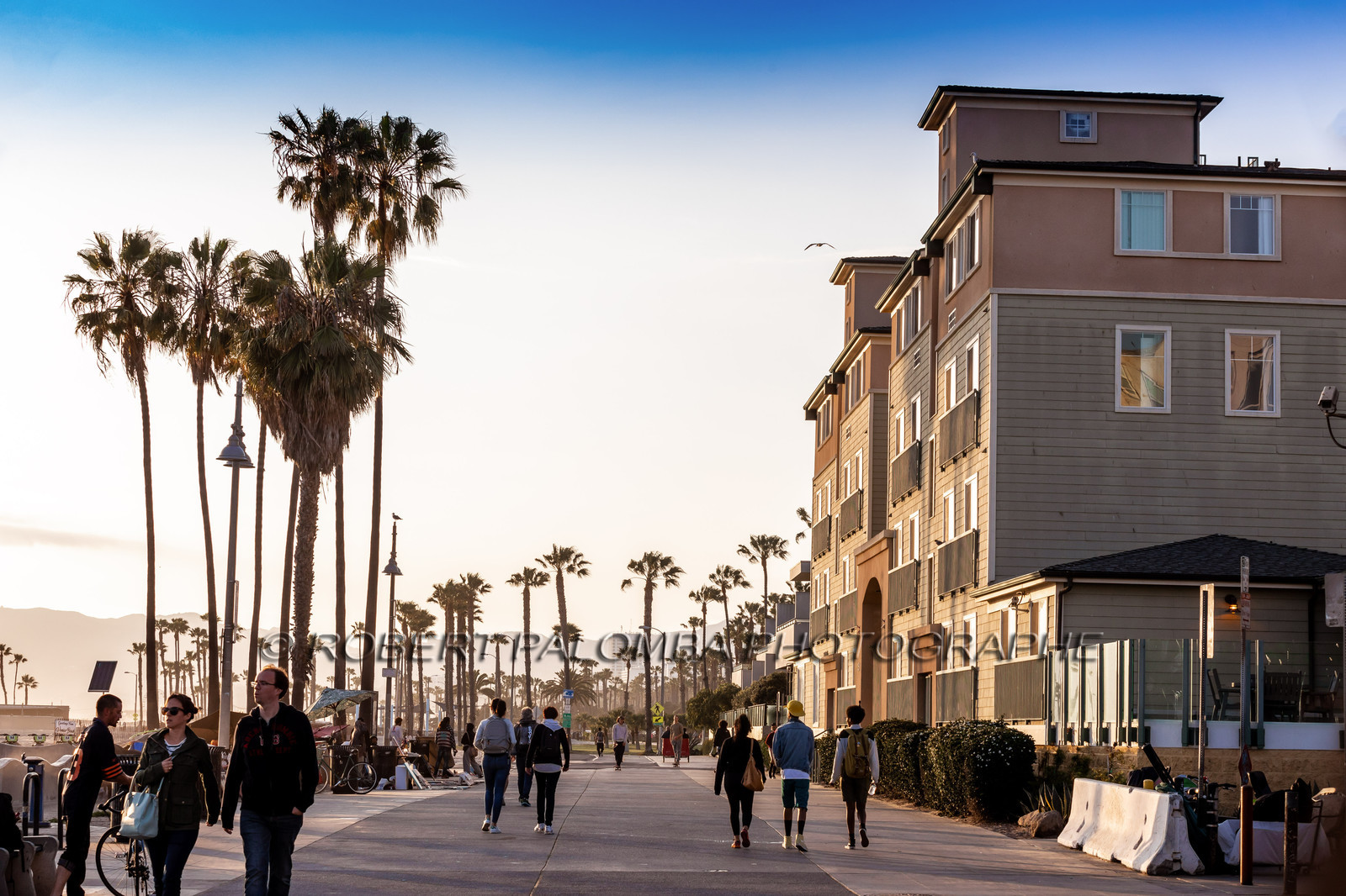 Etats-Unis, Californie-du-Sud, Los Angeles, Venice, Venice Beach