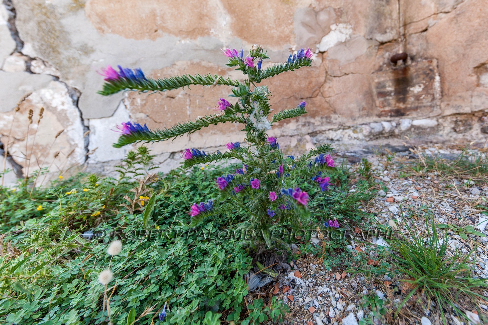 Six-Fours-les-Plages
