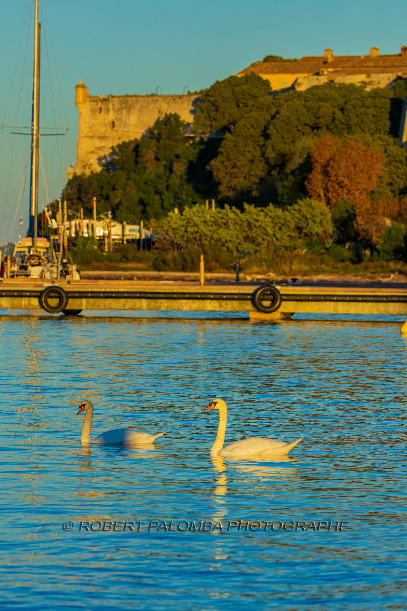 Lérins Sainte Marguerite 2024
