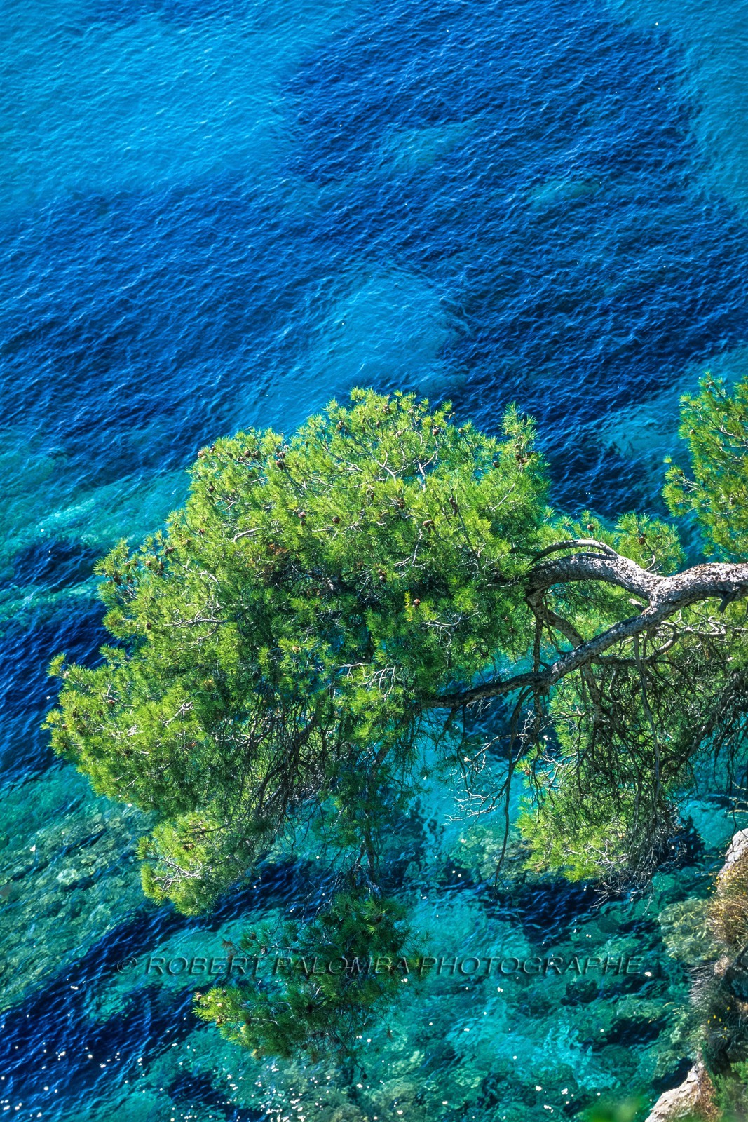 Rayol-Canadel-sur-Mer