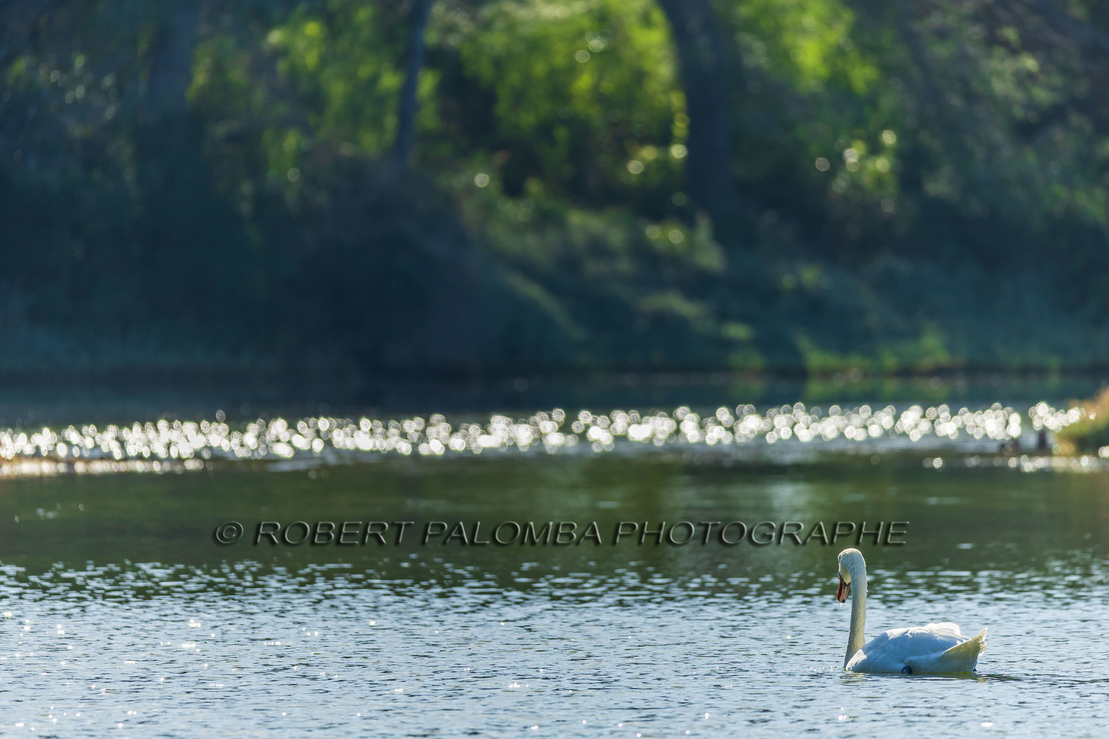Lérins Sainte-Marguerite
