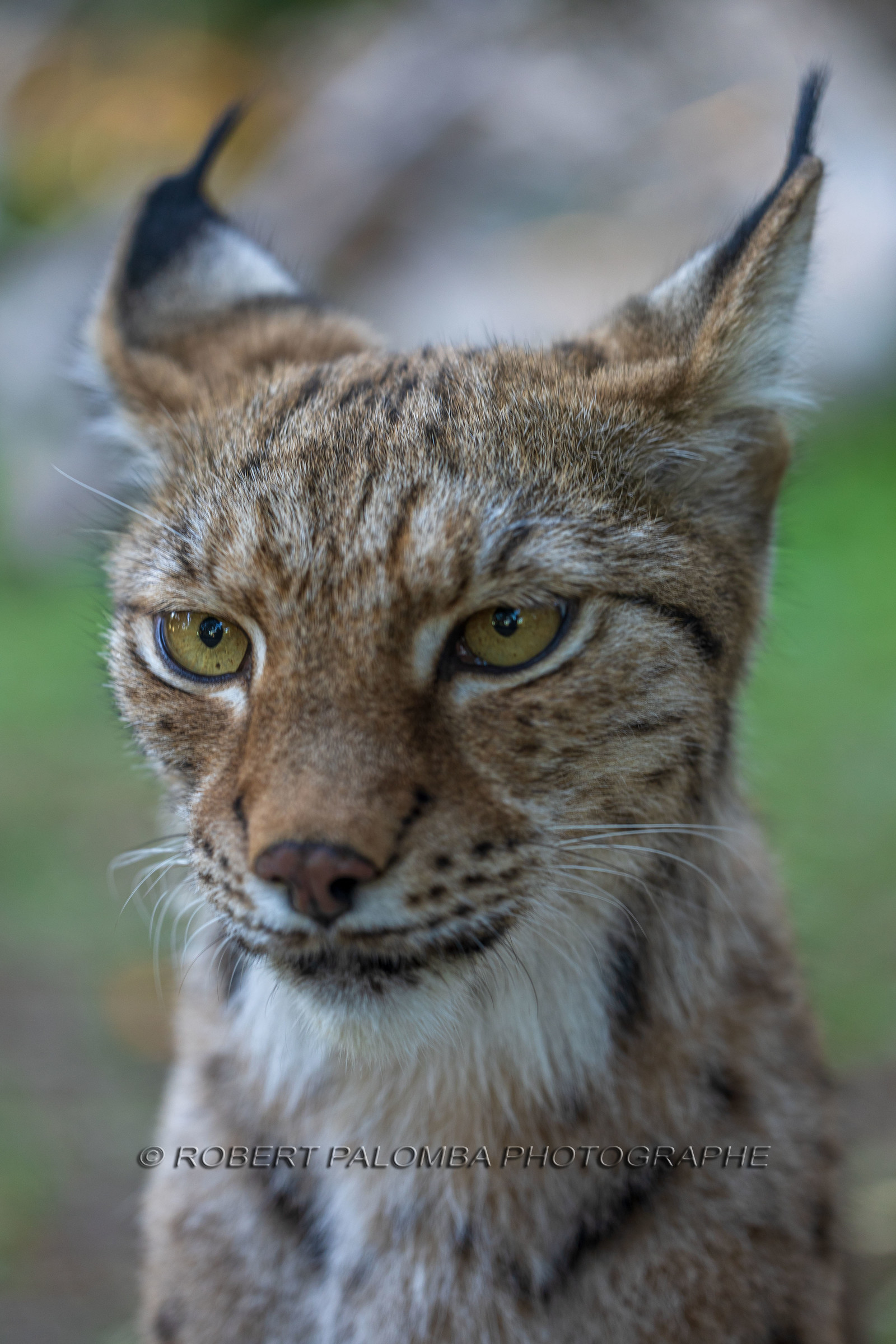 Parc animalier de la Barben