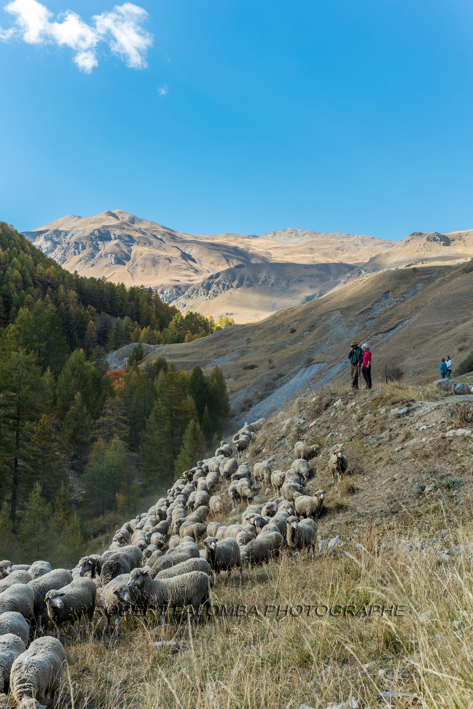 Col de la Bonette