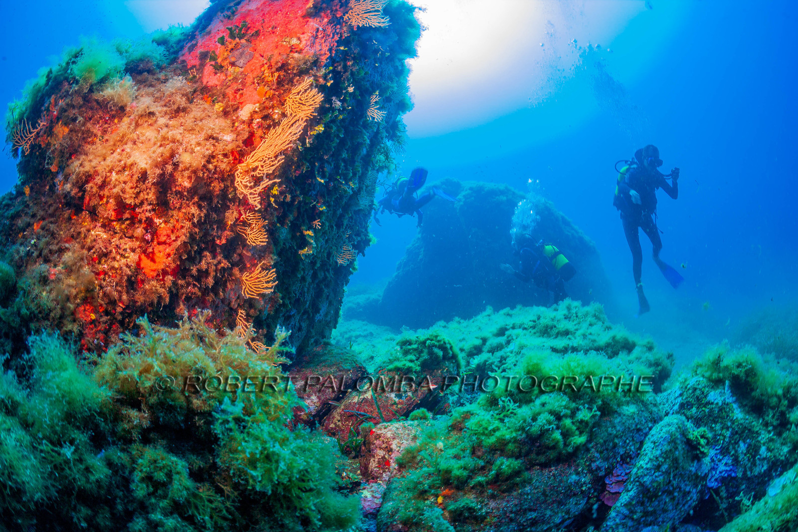 Plongée-sous-marine