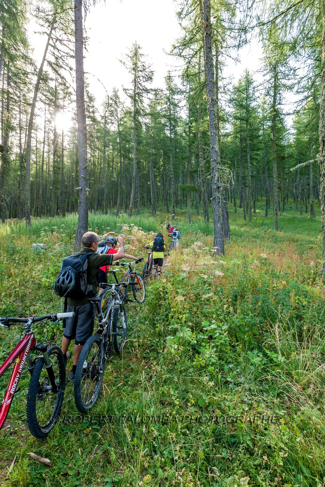 Rando Vtt Lacs de Lignin
