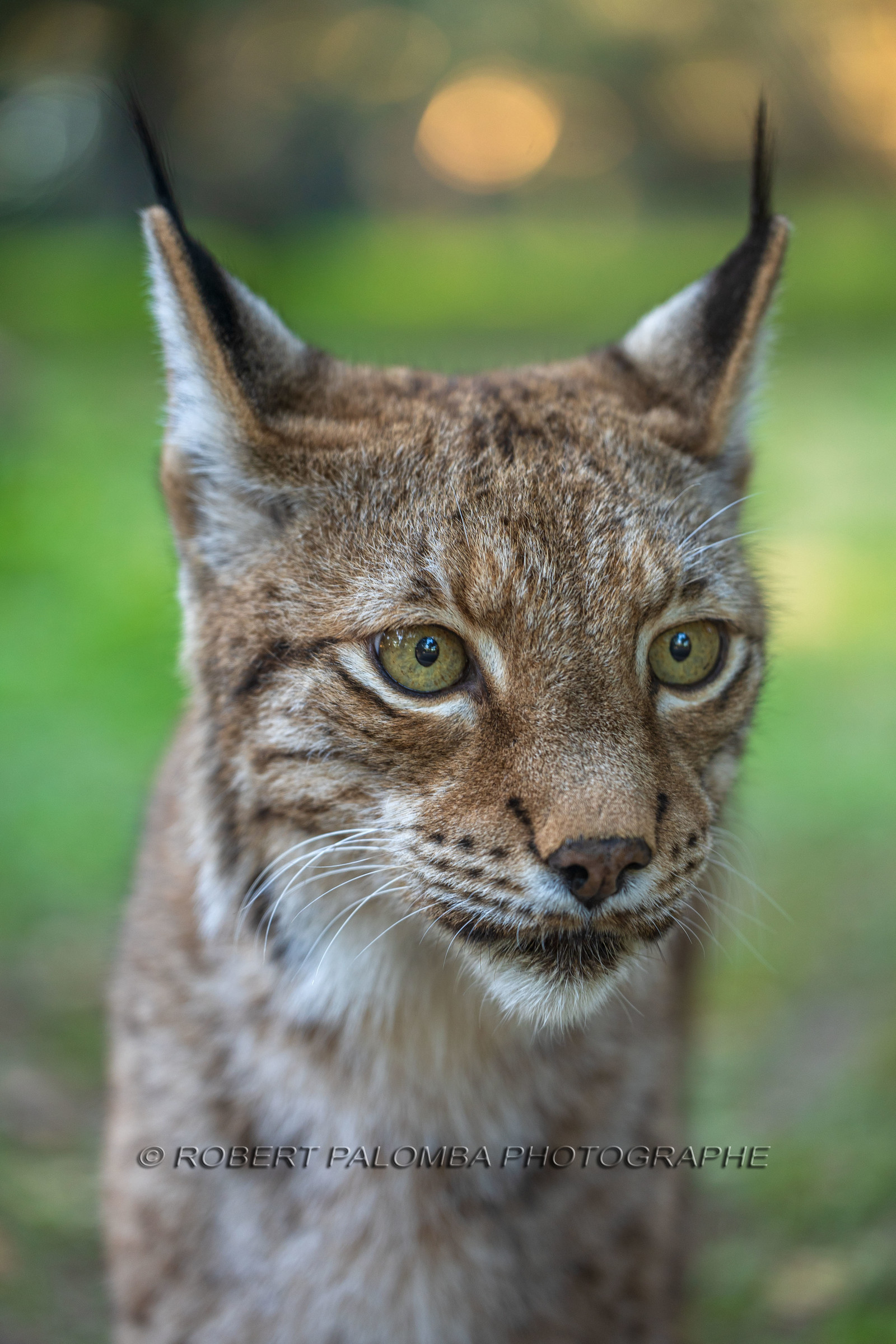 Parc animalier de la Barben